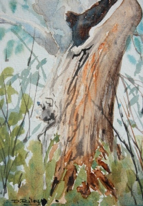 gum tree bark, depth, painting