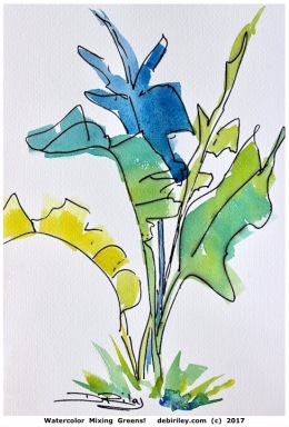 watercolor strelitzia, bird of paradise watercolour, mixing greens in watercolor, botanical leaves, ultramarine blue pb29, winsor lemon py175, prussian blue pb27, debiriley.com