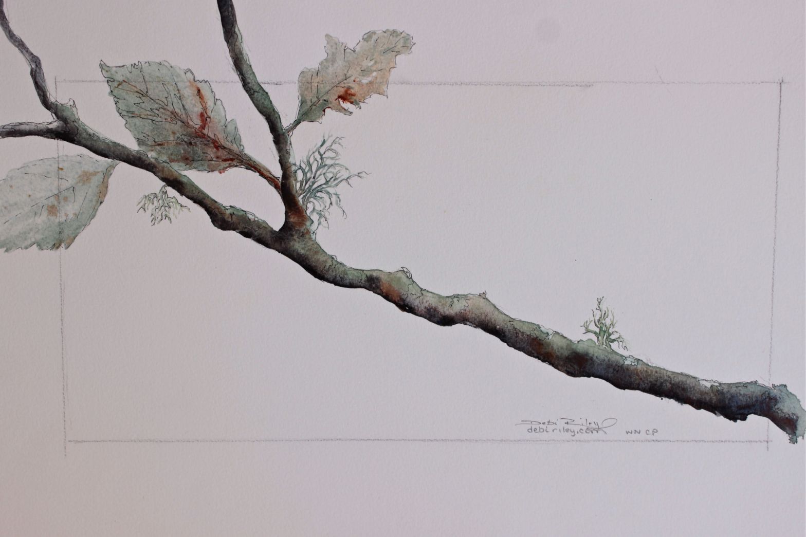 watercolor painting tree branch, debiriley.com