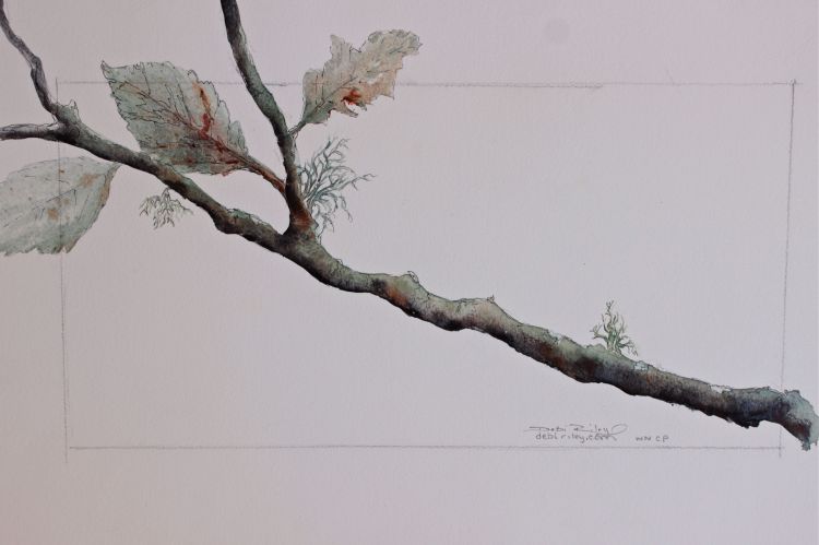 watercolours tree branch  