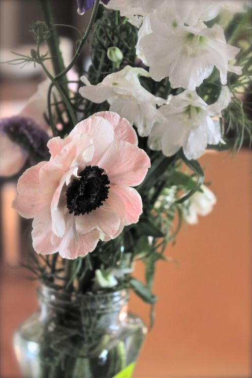 lovely pale pink flowers in a vase, photo, debi riley art