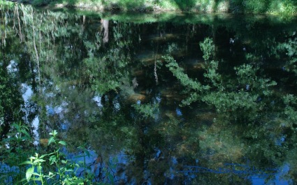 summer pond reflections photo debiriley.com 