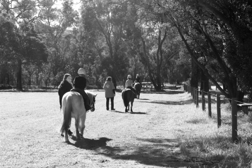 Horse Ride in winter, b/w photo  debiriley.com 