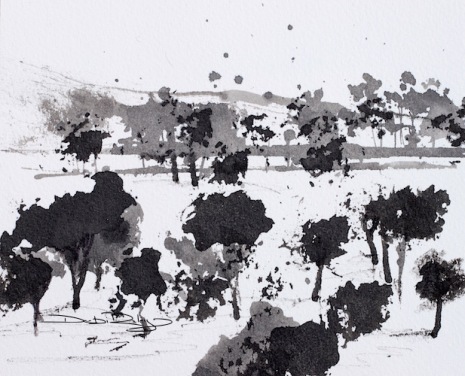 landscape in black ink, without distracting colour, debiriley.com 