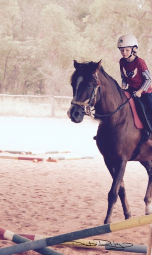 young horse rider, motivated, inspired, debiriley.com 