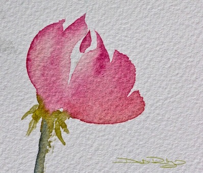 watercolour rose bloom, no fiddling, debiriley.com 