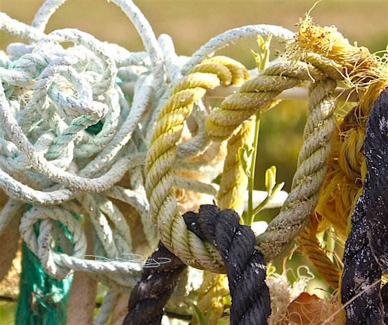 color twined ropes, in harmony, debiriley.com 