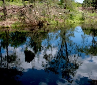 river water reflections, photograph, debiriley.com