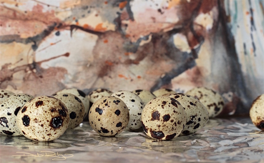 texture and patterns, quail eggs, photos, debiriley.com