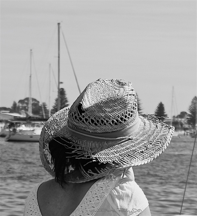summer breeze on the water, photo, debiriley.com