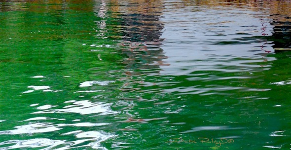 Sydney emerald green water, debi riley art, debiriley.com 