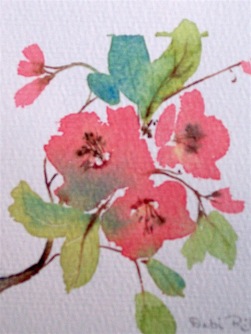 flower blooms in summer, watercolor painting, debiriley.com 