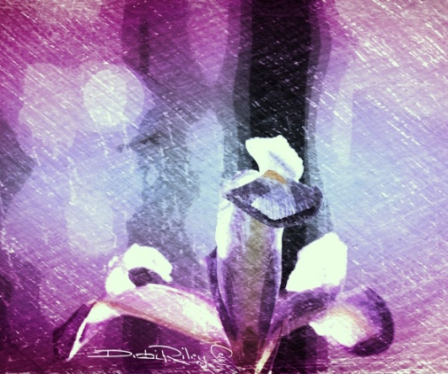 bright purple iris digital art painting, debi riley art 