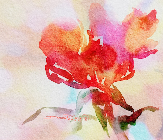 a rose in watercolor, debiriley.com