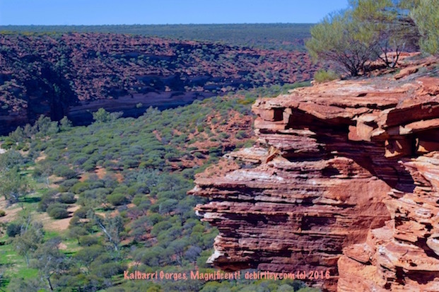 sightseeing Kalbarri gorges, Western Australia travel destinations, debiriley.com 