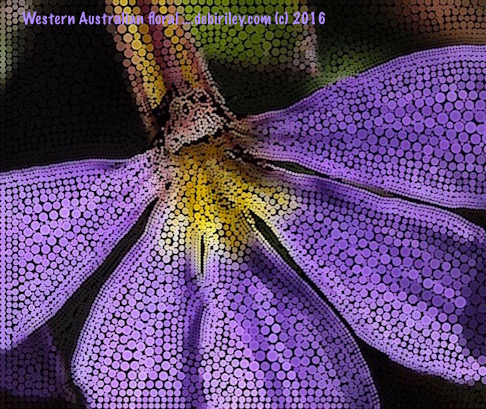 spring purple wildflowers, Western Australia, digital art paintings, debiriley.com