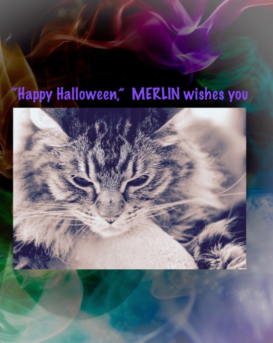 halloween cats, merlin, cat photos, cat art, debiriley.com 