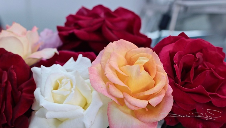 crimson roses photography, rose bouquet painting monotype, creative art, debiriley.com