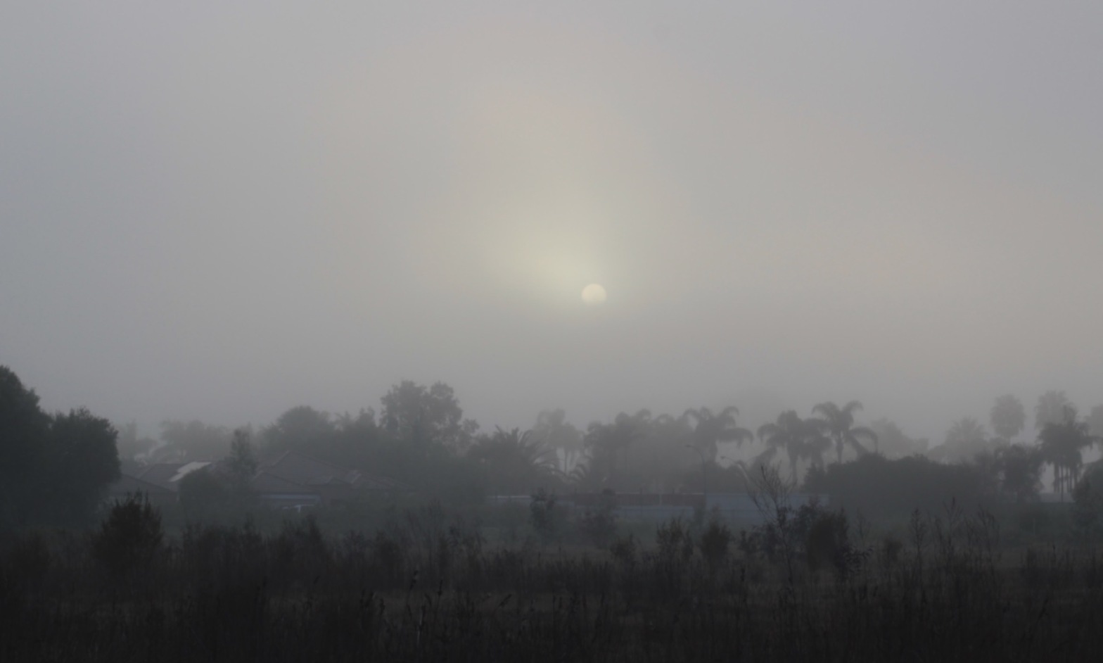 morning fog photography, sunlight, peaceful nature scene, debiriley.com