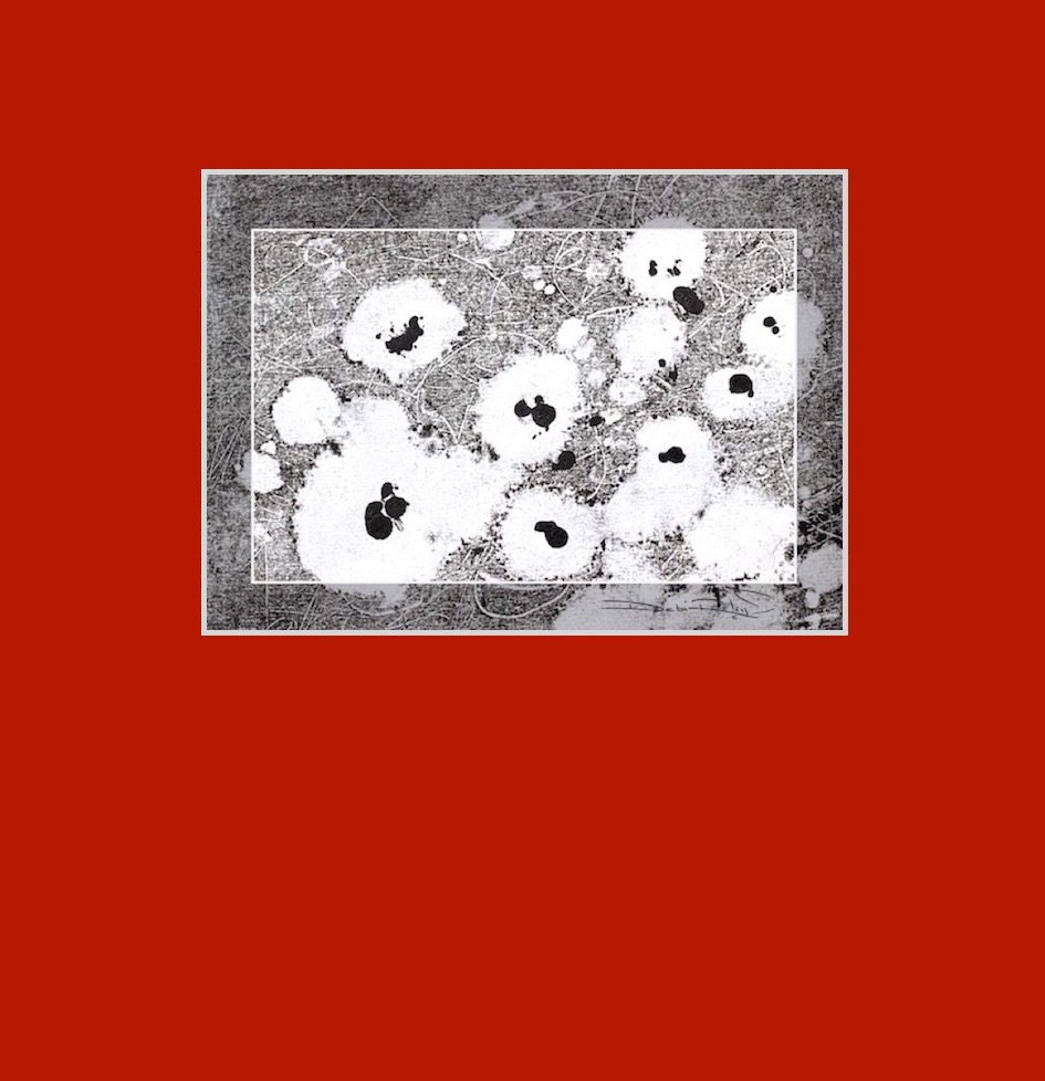 monotype process, black and white design on red matt, debiriley.com