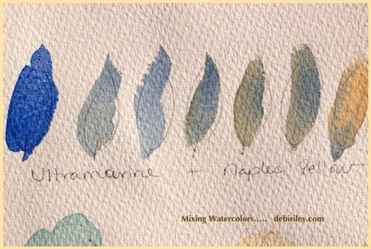 naples yellow watercolors, ultramarine blue pb29, watercolor mixing greens, debiriley.com 