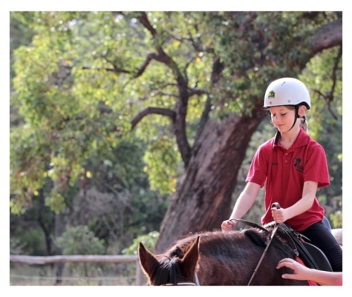 horse riding, photograph riding, debiriley.com 