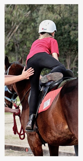 horse riding, when you fall just get back on, horse riding life lessons, debiriley.com 