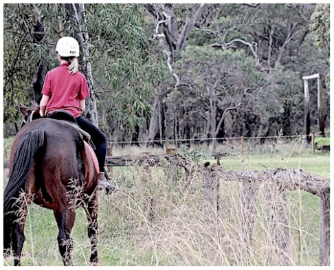 horse riding, learning to ride, building confidence, debiriley.com 