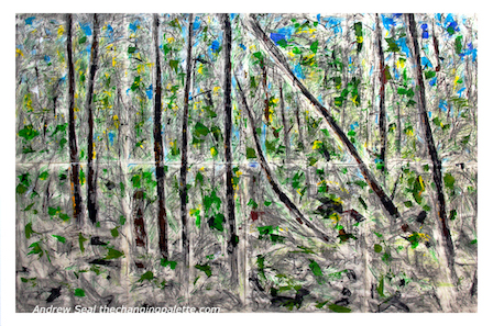 mixed media trees, protest for peace, forest glade canada, andrew seal, debiriley.com 